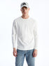 LC Waikiki Crew Neck Long Sleeve Men's T-shirt